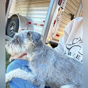 Meet your Posher, Jenny